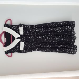 Collared bird print dress